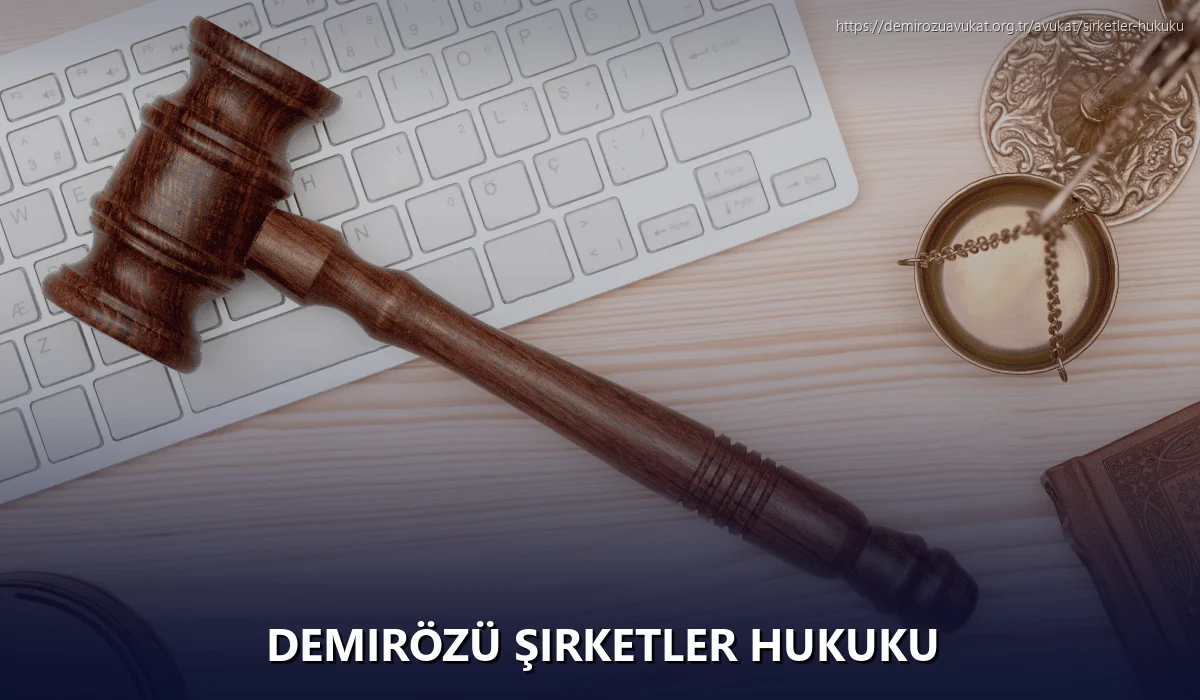 Demirözü Şirketler Hukuku